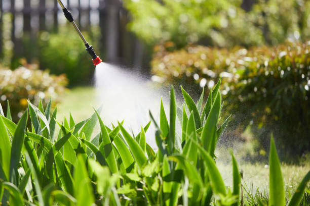 24/7 Emergency Wasp Removal experts in Wayland, MI